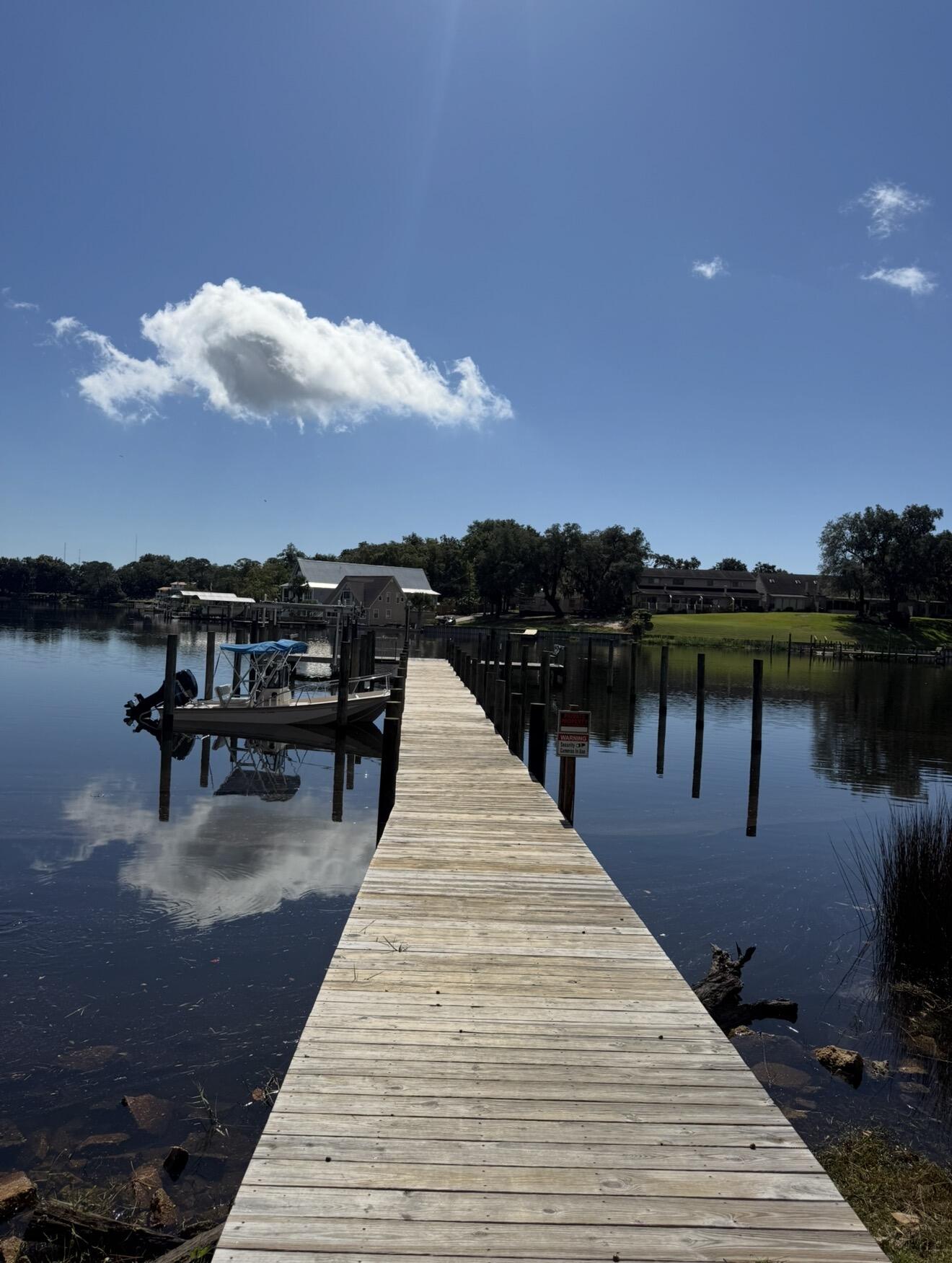 a park with view of lake