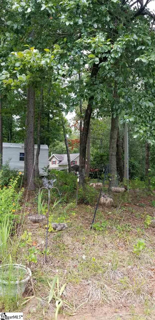 142 Windtree Ridge Pickens, SC 29671 - Photo 7 of 24