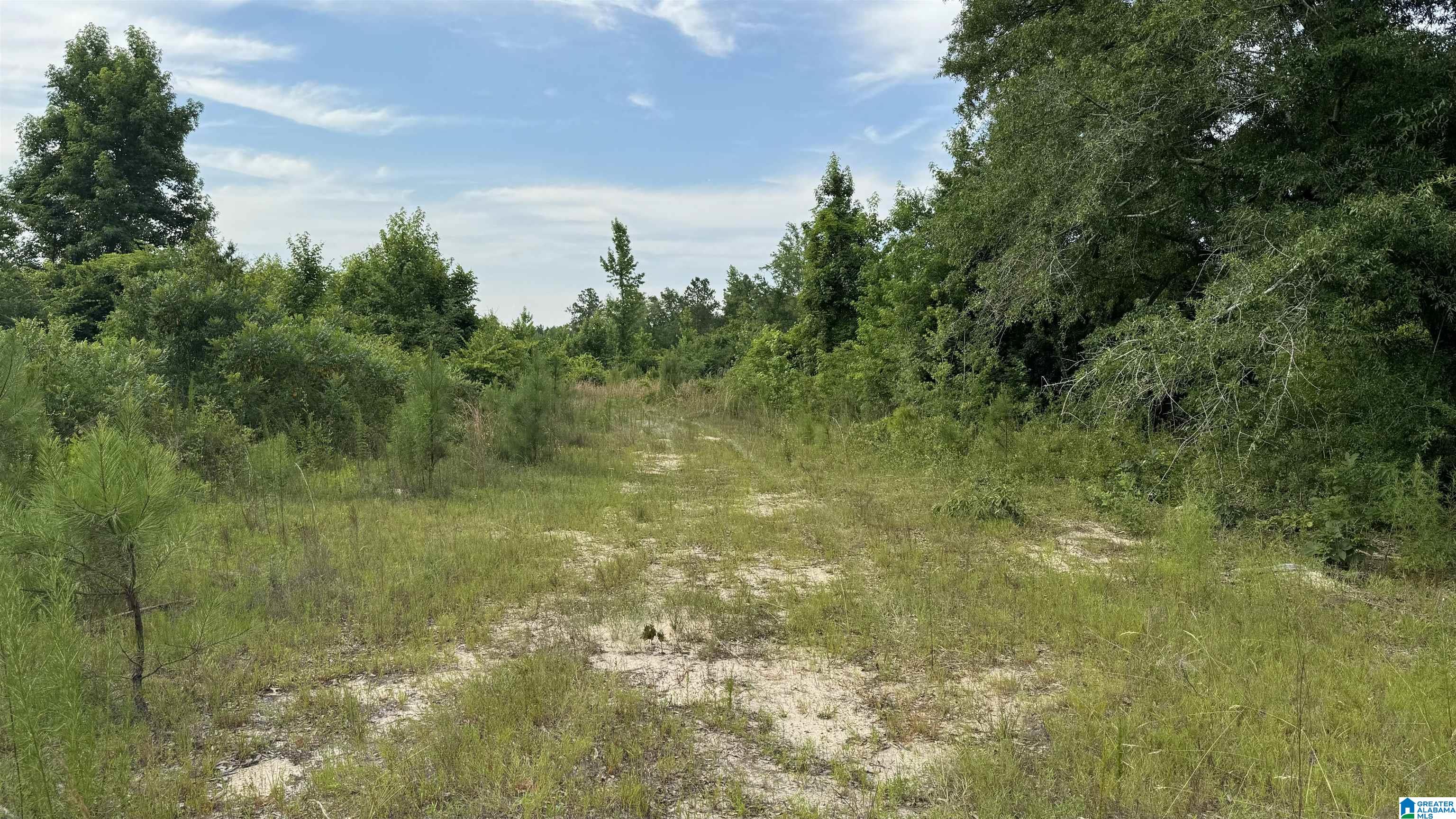 0 Midway Road Tuskegee, AL 36083 - Photo 9 of 30