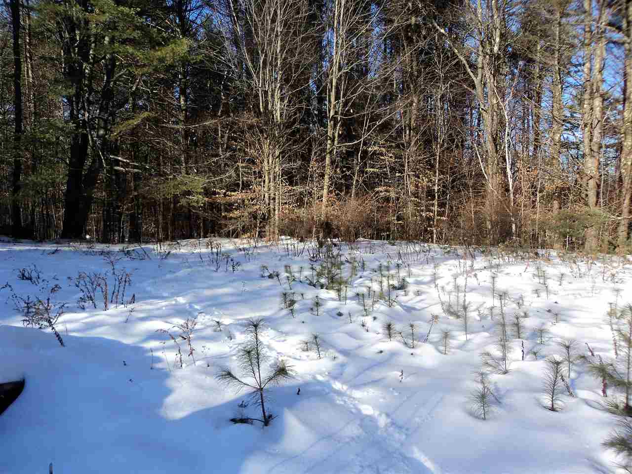 0 Peachblow Road Alstead, NH 03602 - Photo 4 of 10