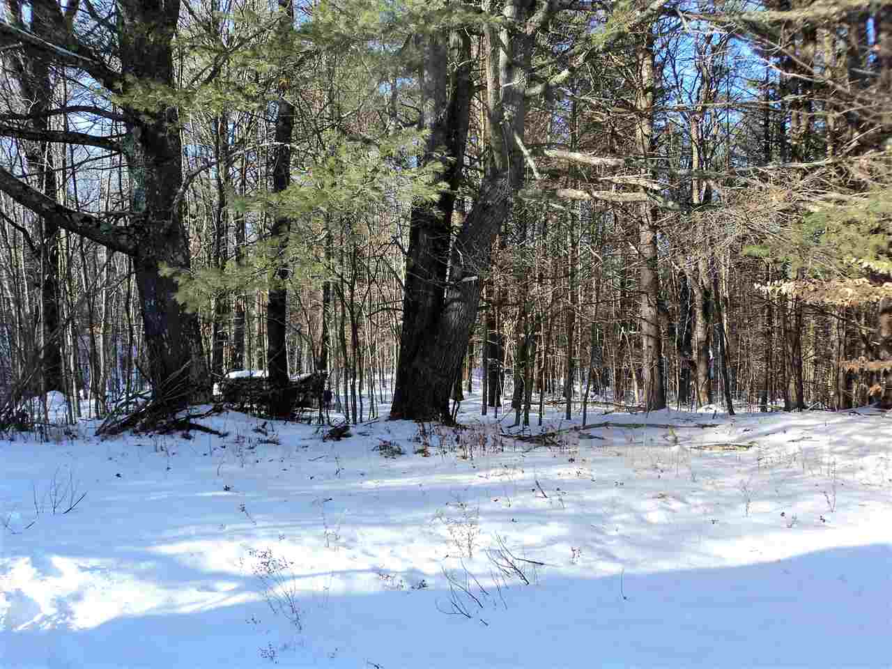 0 Peachblow Road Alstead, NH 03602 - Photo 6 of 10
