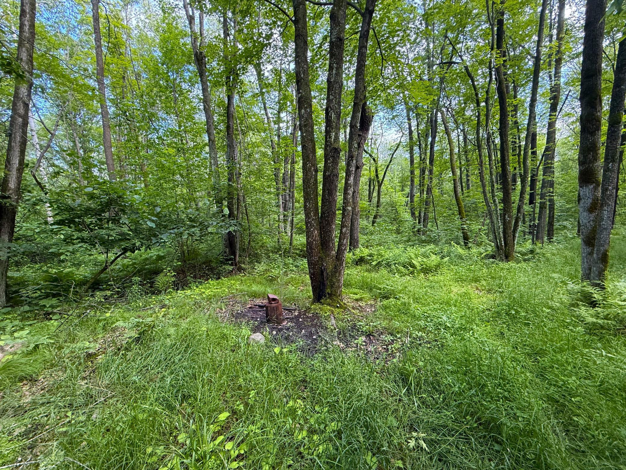 Xxx McGrew Road Isle, MN 56342 - Photo 52 of 92