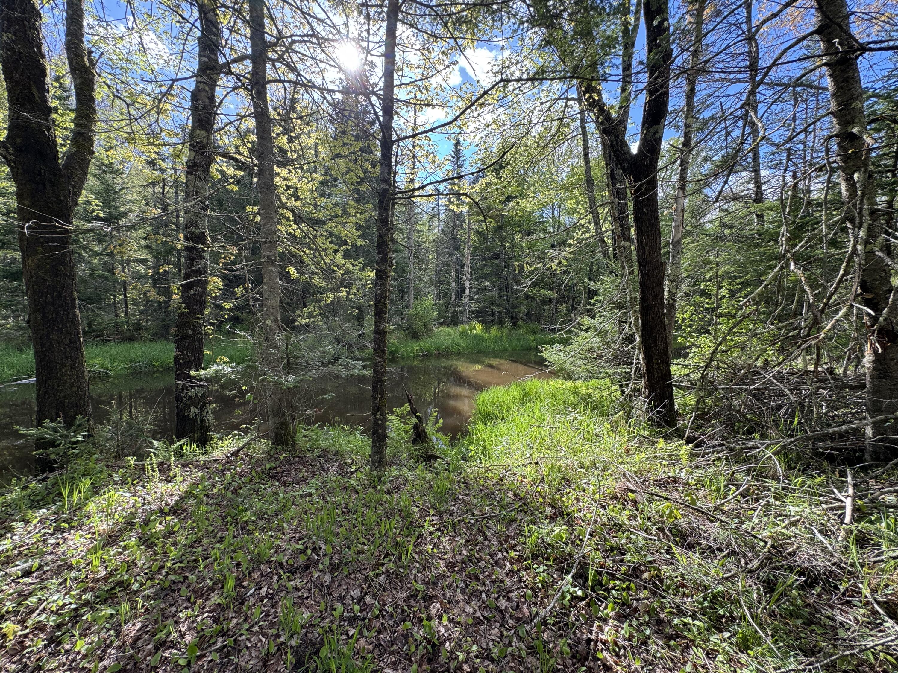 Map8-lot19g Jefferson Road Washington, ME 04574 - Photo 10 of 11 IMG_3327