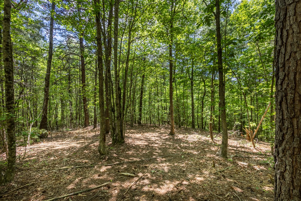 4.0-acre Donley Road Murphy, NC 28906 - Photo 2 of 15