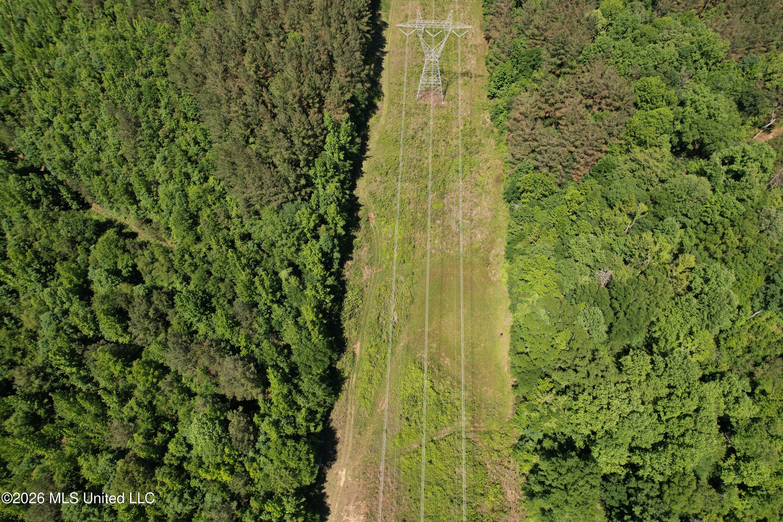 Couparle Road Camden, MS 39045 - Photo 8 of 47 DJI_0124