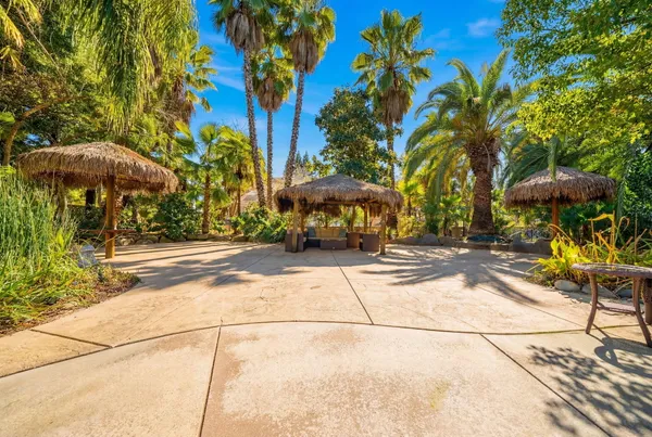 a view of a park with plants and trees