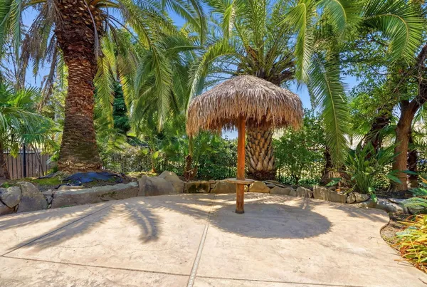 a view of a park with plants