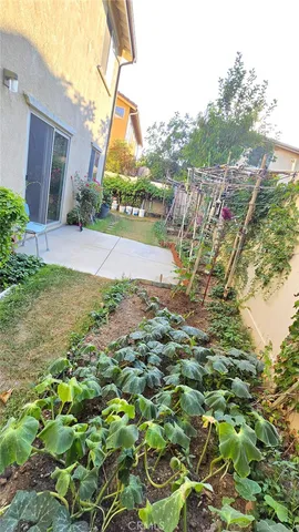 a view of a yard with plants
