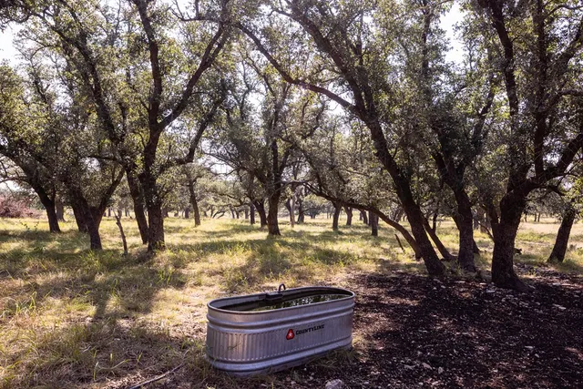 a backyard of a house with barbeque oven