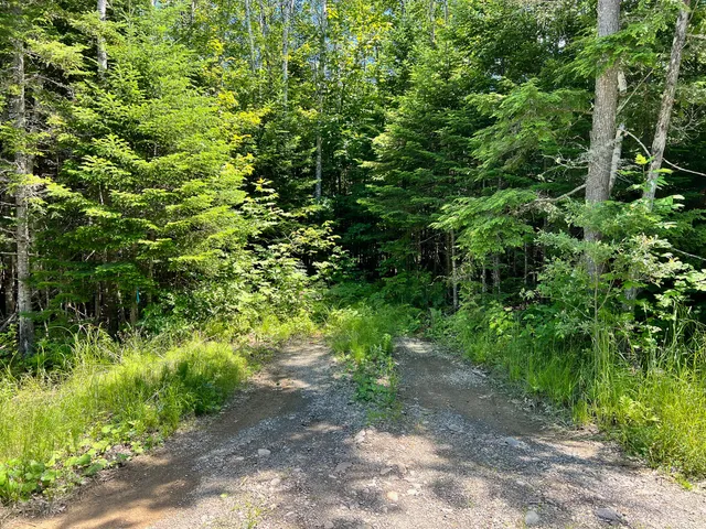 $20,000 | Lot 4 Woodland Ridge Road, Danforth, ME 04424