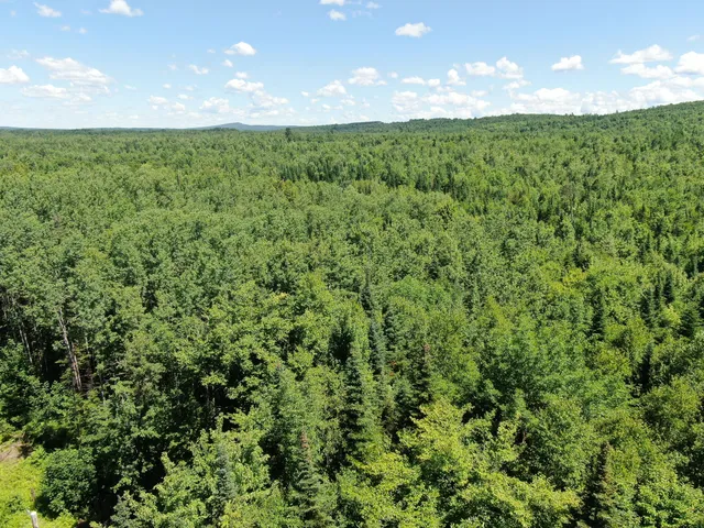 $20,000 | Lot 4 Woodland Ridge Road, Danforth, ME 04424