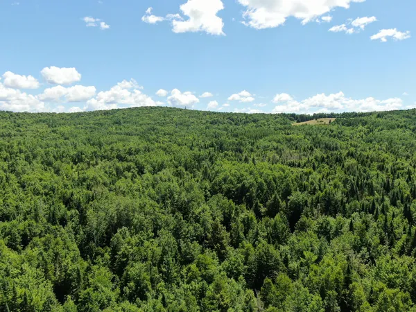 $20,000 | Lot 4 Woodland Ridge Road, Danforth, ME 04424