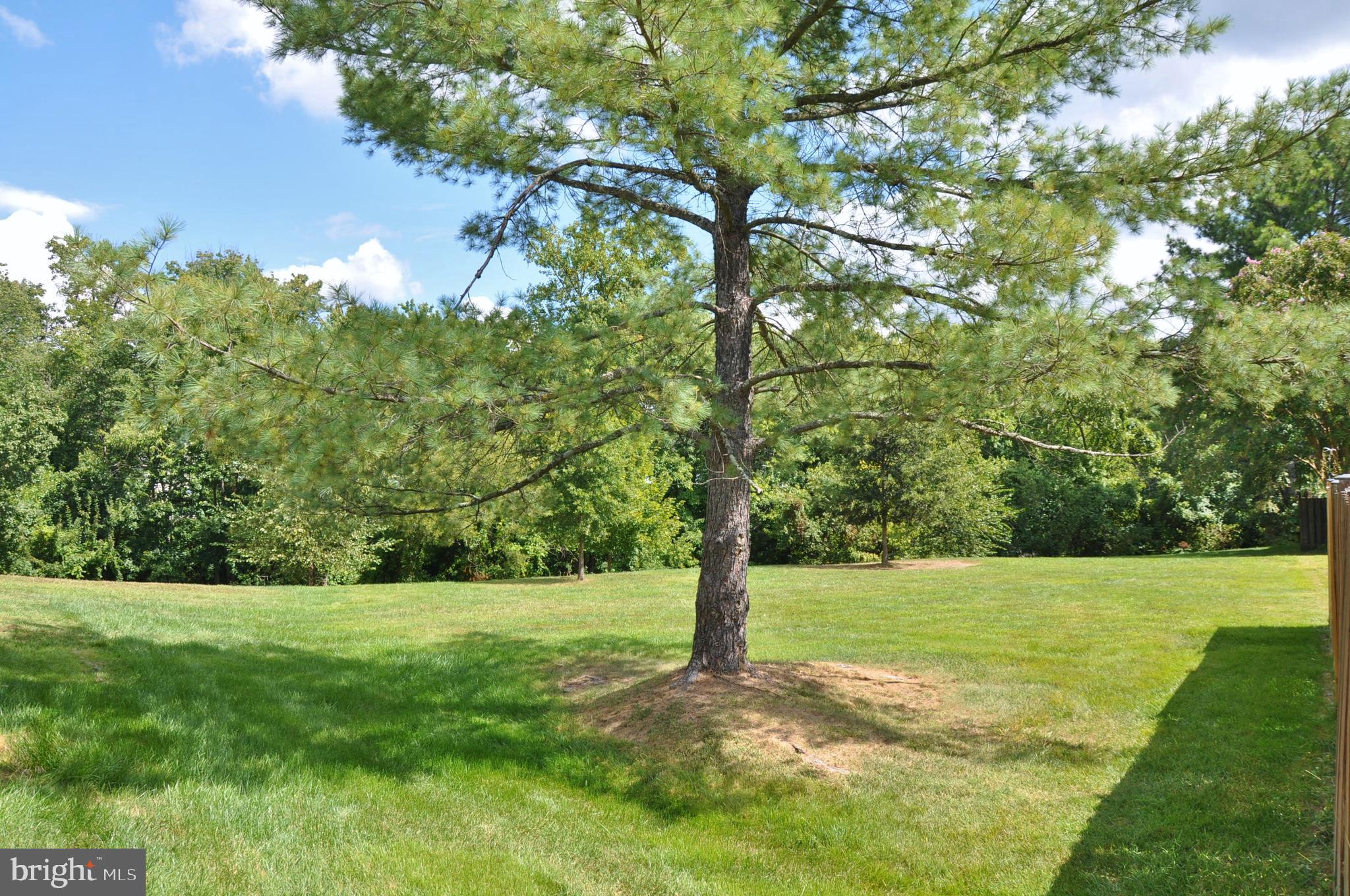 21 Margery Court Nottingham, MD 21236 - Photo 13 of 67 Amazing green space