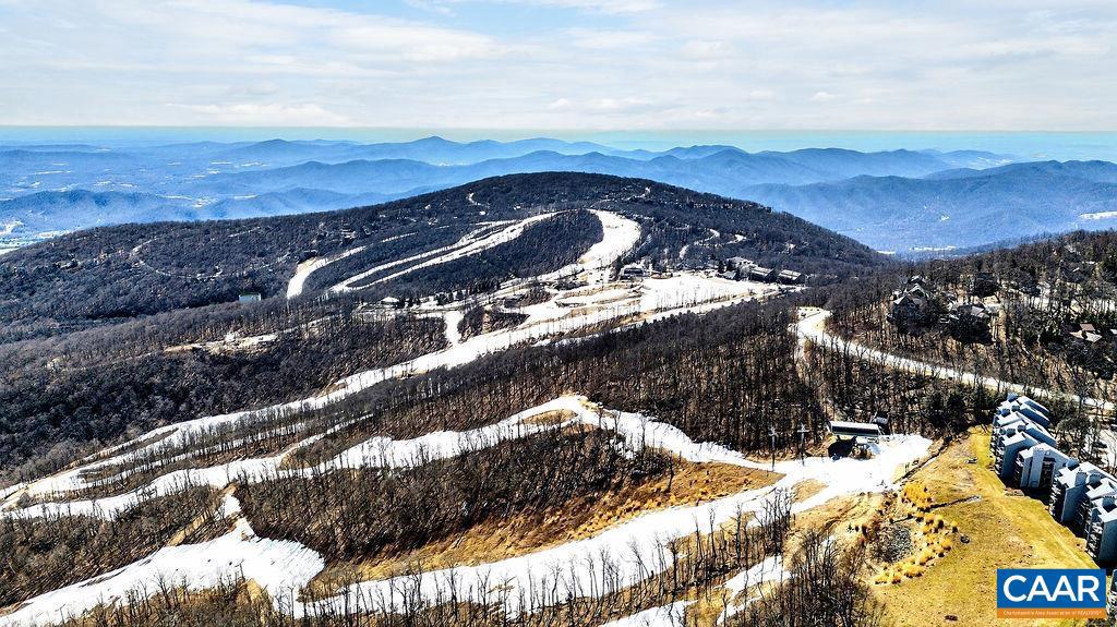 2084 Stone Ridge Wintergreen, VA 22967 - Photo 31 of 43