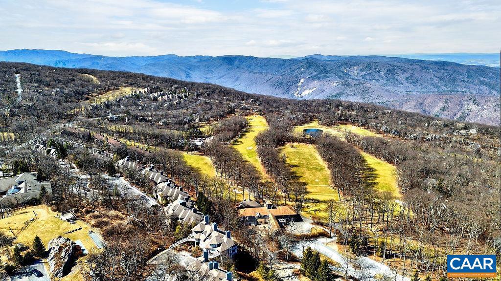 2084 Stone Ridge Wintergreen, VA 22967 - Photo 38 of 43