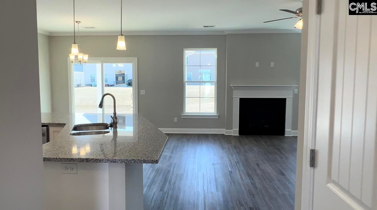 229 Secretariat Street Lexington, SC 29073 - Photo 4 of 26 Gallery Image 4