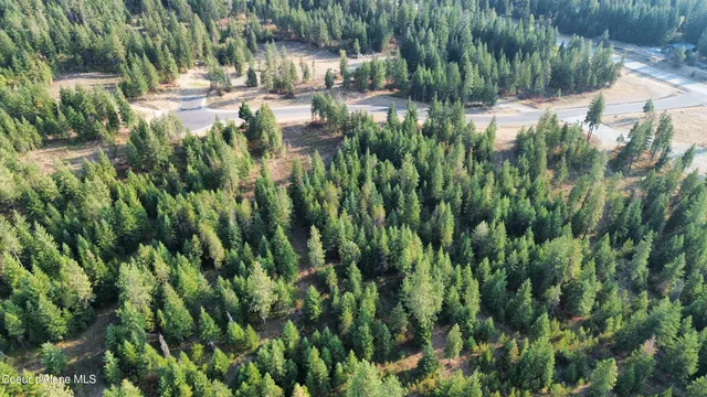 $1,550,000 | 3 And Lots 1 2 4 & 5 Wendland Way, Spirit Lake, ID 83869