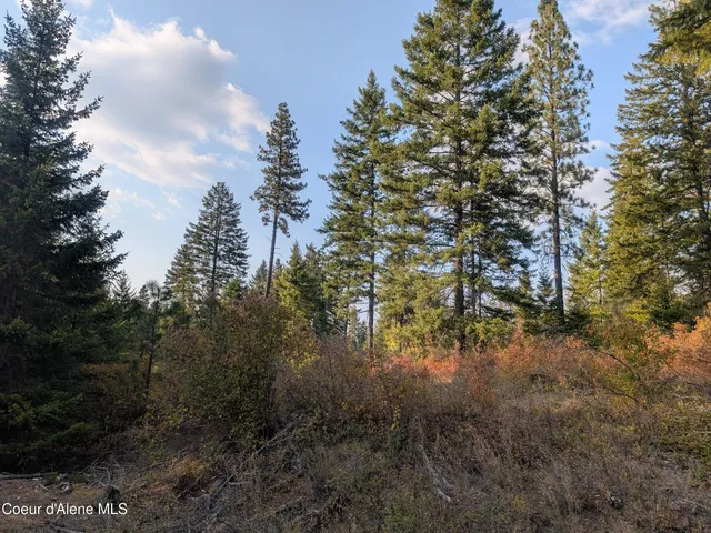 $1,550,000 | 3 And Lots 1 2 4 & 5 Wendland Way, Spirit Lake, ID 83869