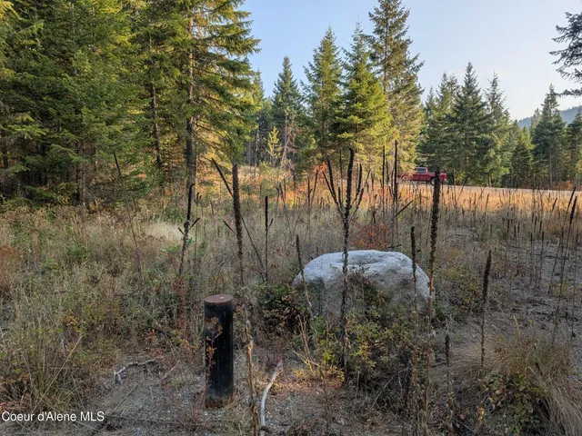 $1,550,000 | 3 And Lots 1 2 4 & 5 Wendland Way, Spirit Lake, ID 83869