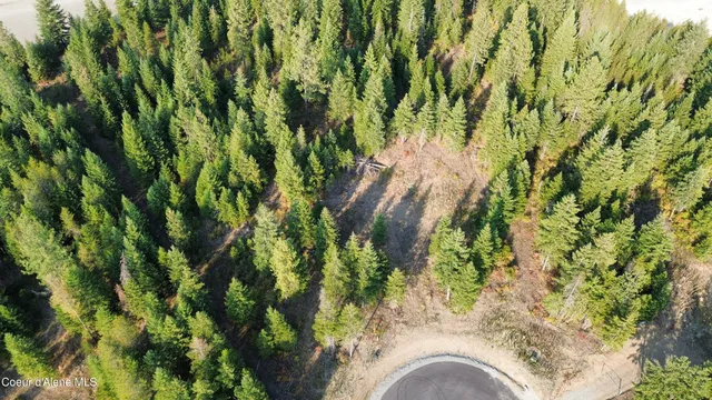 $1,550,000 | 3 And Lots 1 2 4 & 5 Wendland Way, Spirit Lake, ID 83869