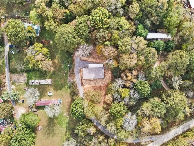 a picture of a tree with a tree