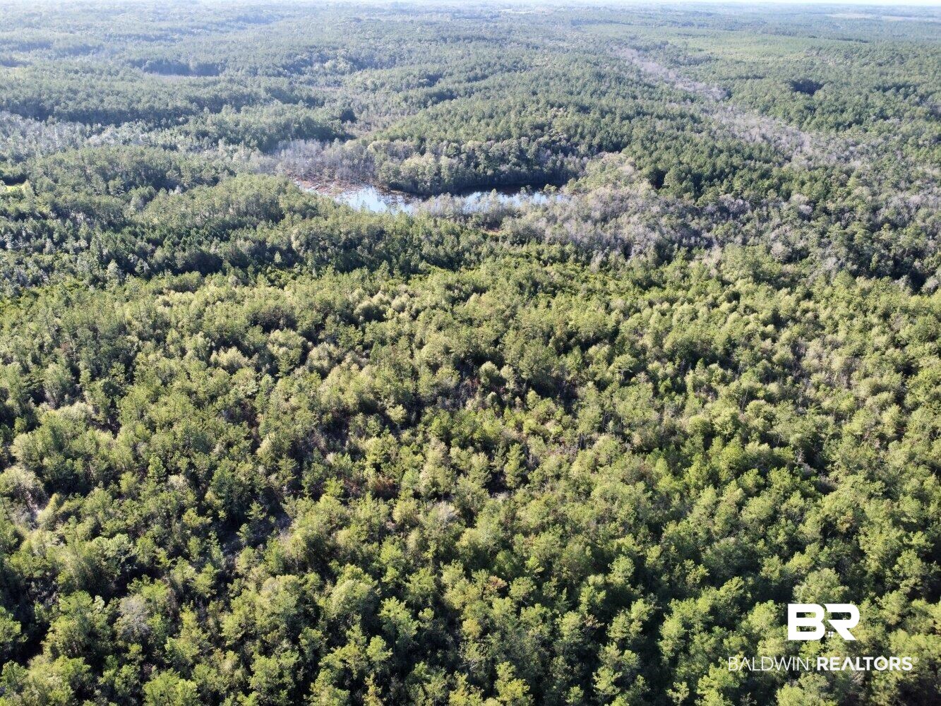 0 C C Road Chunchula, AL 36521 - Photo 25 of 27