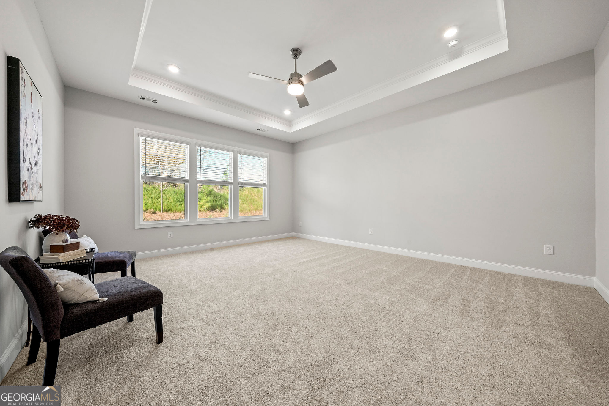 68 Ballyfin Way Newnan, GA 30263 - Photo 10 of 46 a living room with furniture and a window