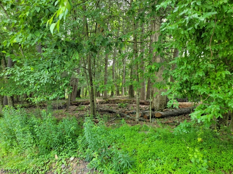 231 Old Chimney Ridge Road Montague, NJ 07827 - Photo 3 of 5