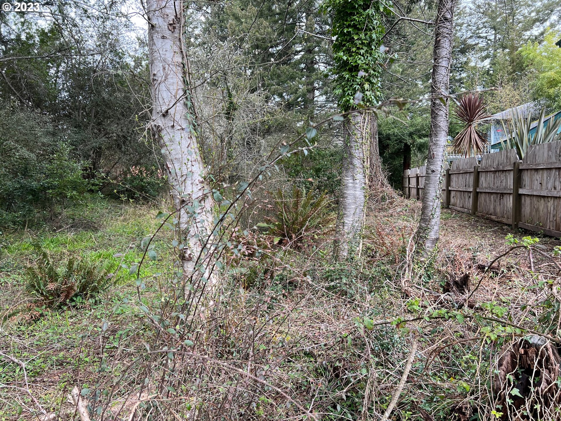 Hassett Brookings, OR 97415 - Photo 12 of 16 a view of backyard with green space