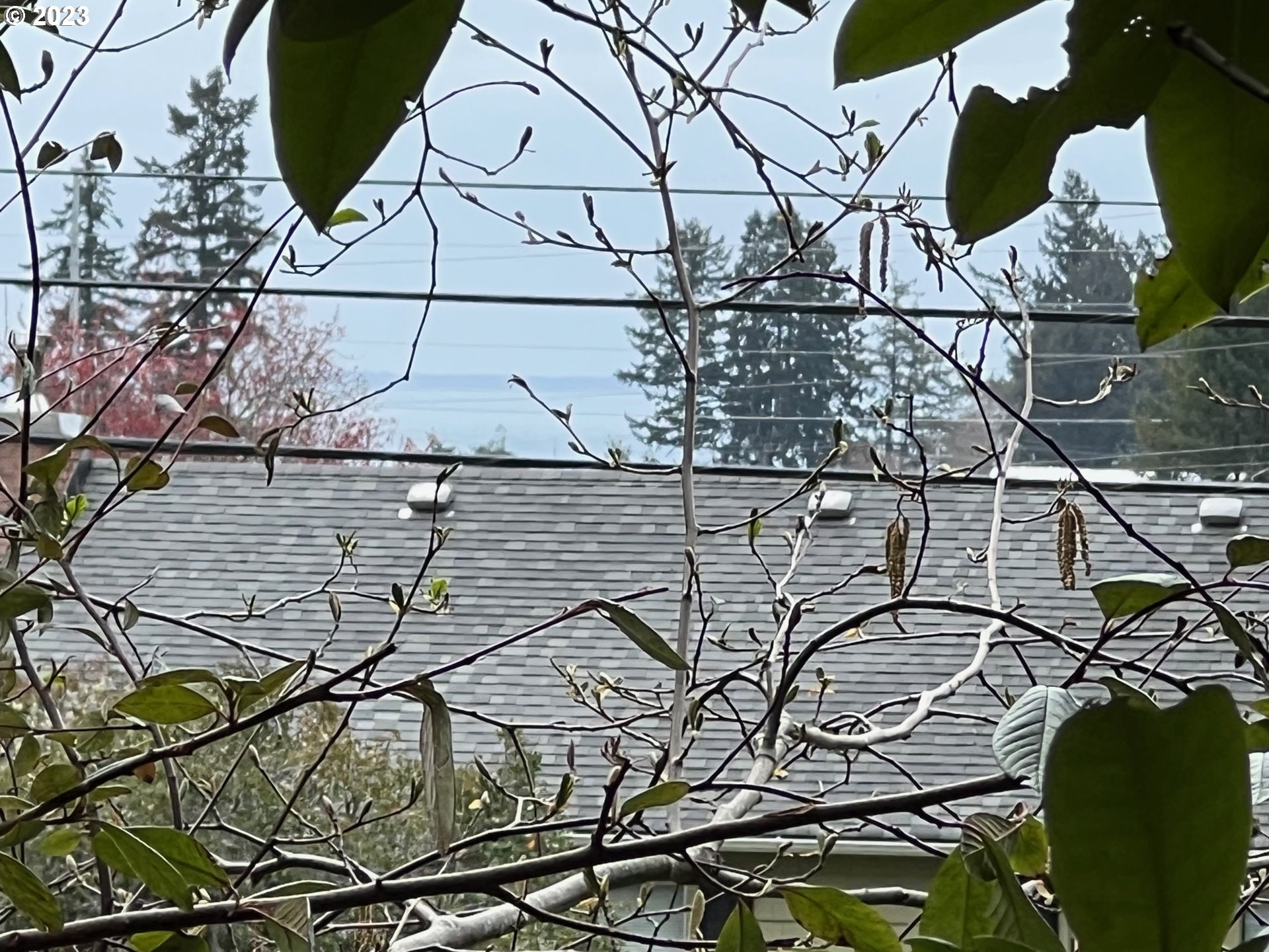 Hassett Brookings, OR 97415 - Photo 16 of 16