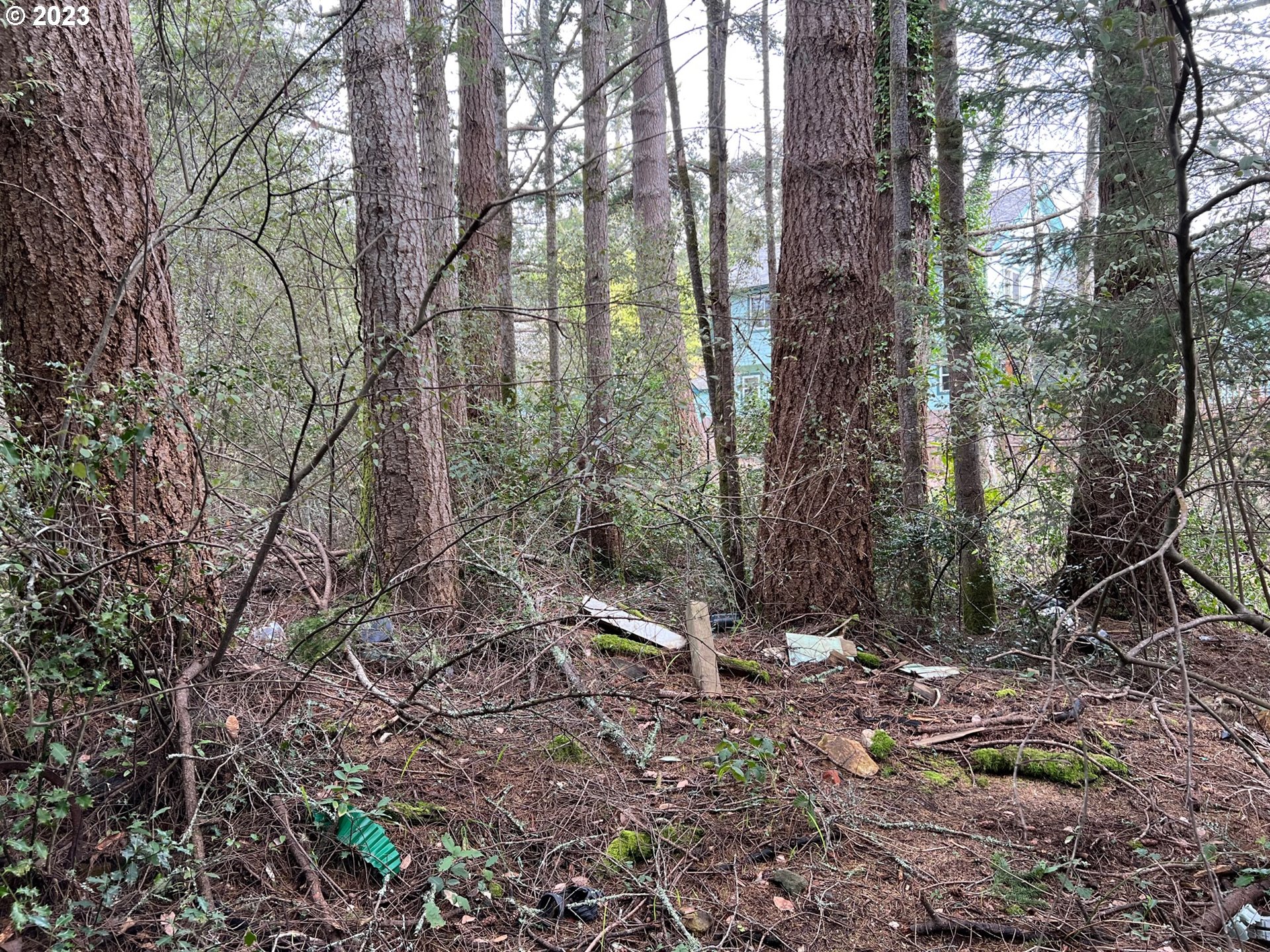 Hassett Brookings, OR 97415 - Photo 3 of 16 a backyard of a house with lots of green space
