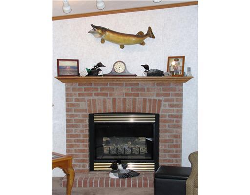 509 Amy Lane Rochester, PA 15074 - Photo 3 of 18 Living Room. Show off your big catch or cherished family photos proudly above the gas burning fireplace in the living room.