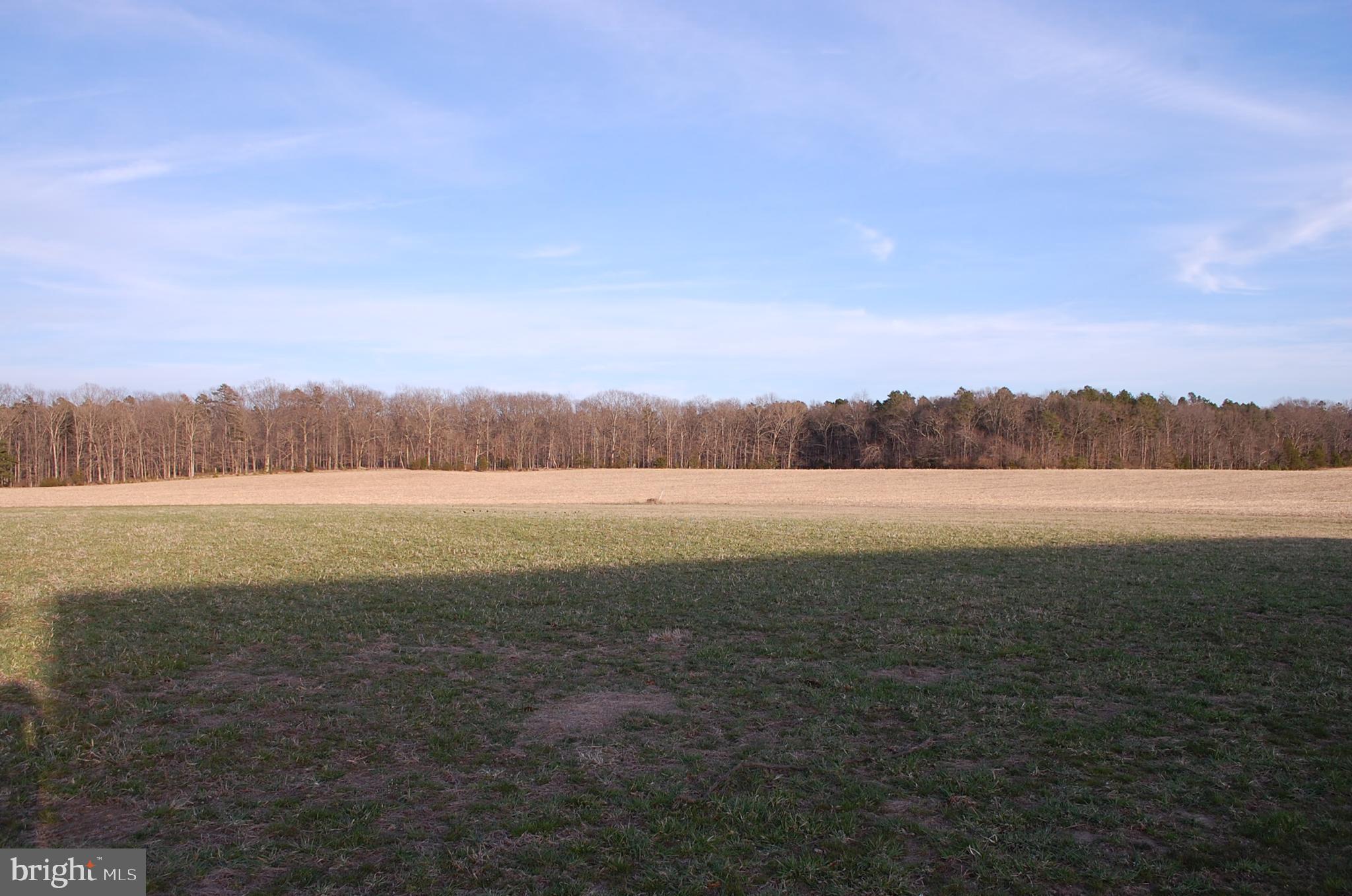 3000 Main Road Franklinville, NJ 08322 - Photo 22 of 47 Gallery Image 22