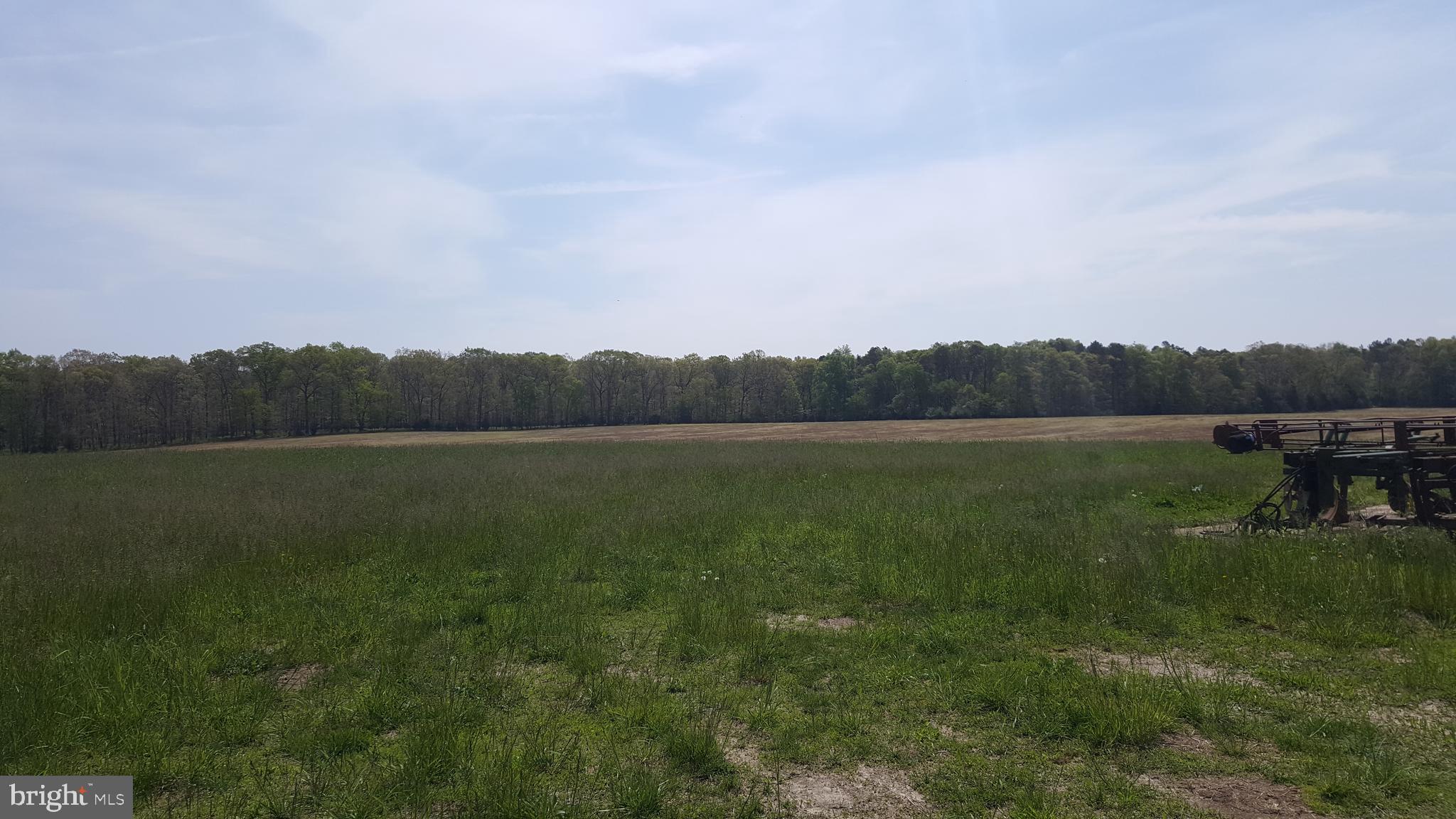 3000 Main Road Franklinville, NJ 08322 - Photo 46 of 47 May 2 2019