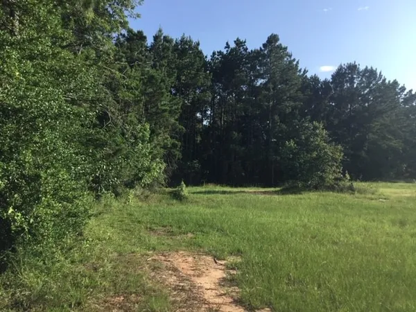 $232,000 | 0 Navaho Trail, Onalaska, TX 77360