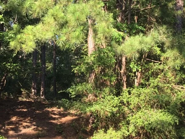 $232,000 | 0 Navaho Trail, Onalaska, TX 77360