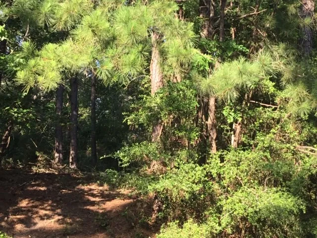 $232,000 | 0 Navaho Trail, Onalaska, TX 77360