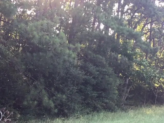 $232,000 | 0 Navaho Trail, Onalaska, TX 77360