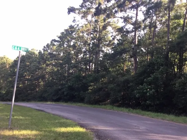 $232,000 | 0 Navaho Trail, Onalaska, TX 77360