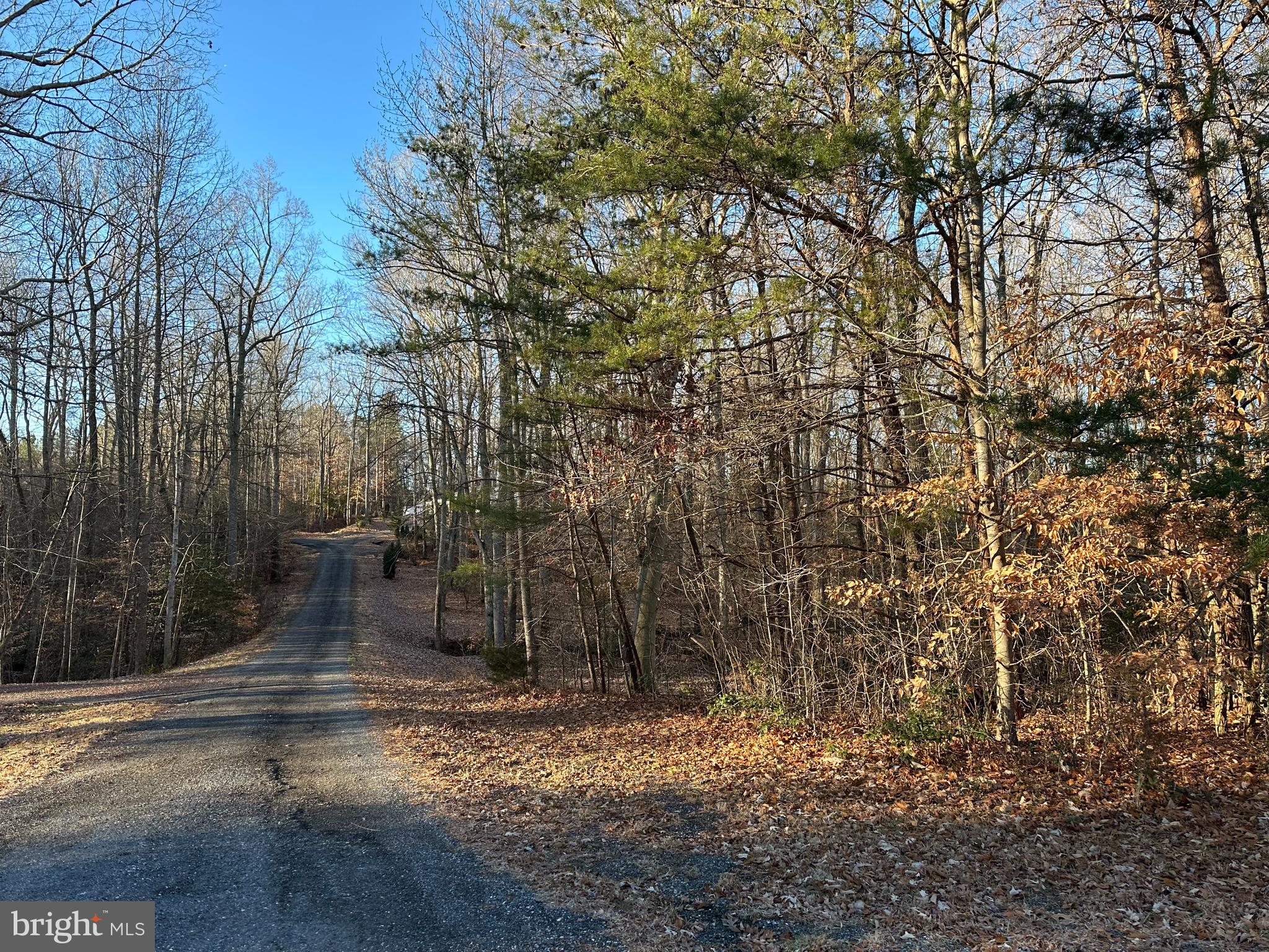 0 St Andrews Church Road Leonardtown, MD 20650 - Photo 15 of 34 a view of a forest with trees