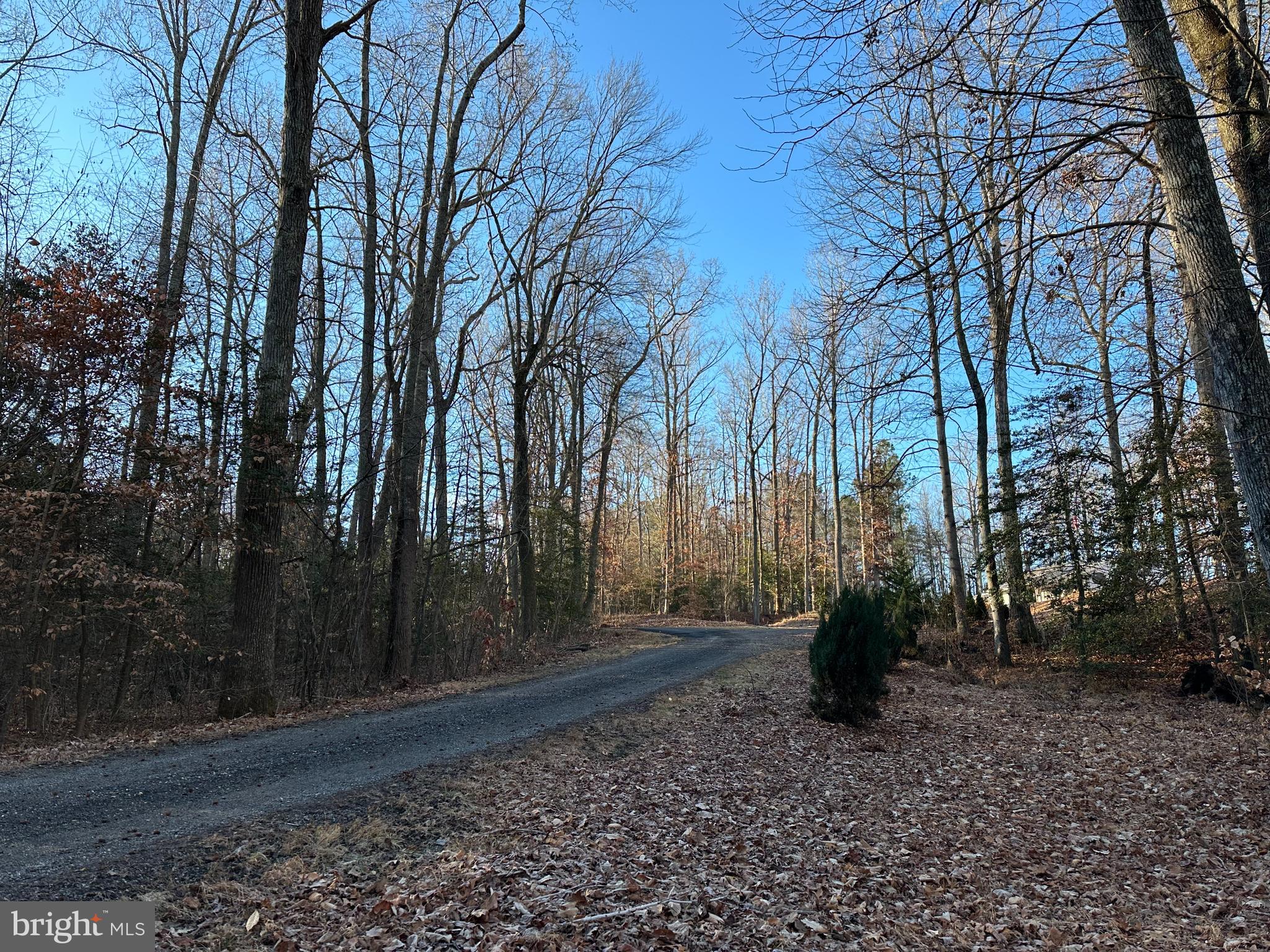 0 St Andrews Church Road Leonardtown, MD 20650 - Photo 16 of 34 a view of a backyard with trees