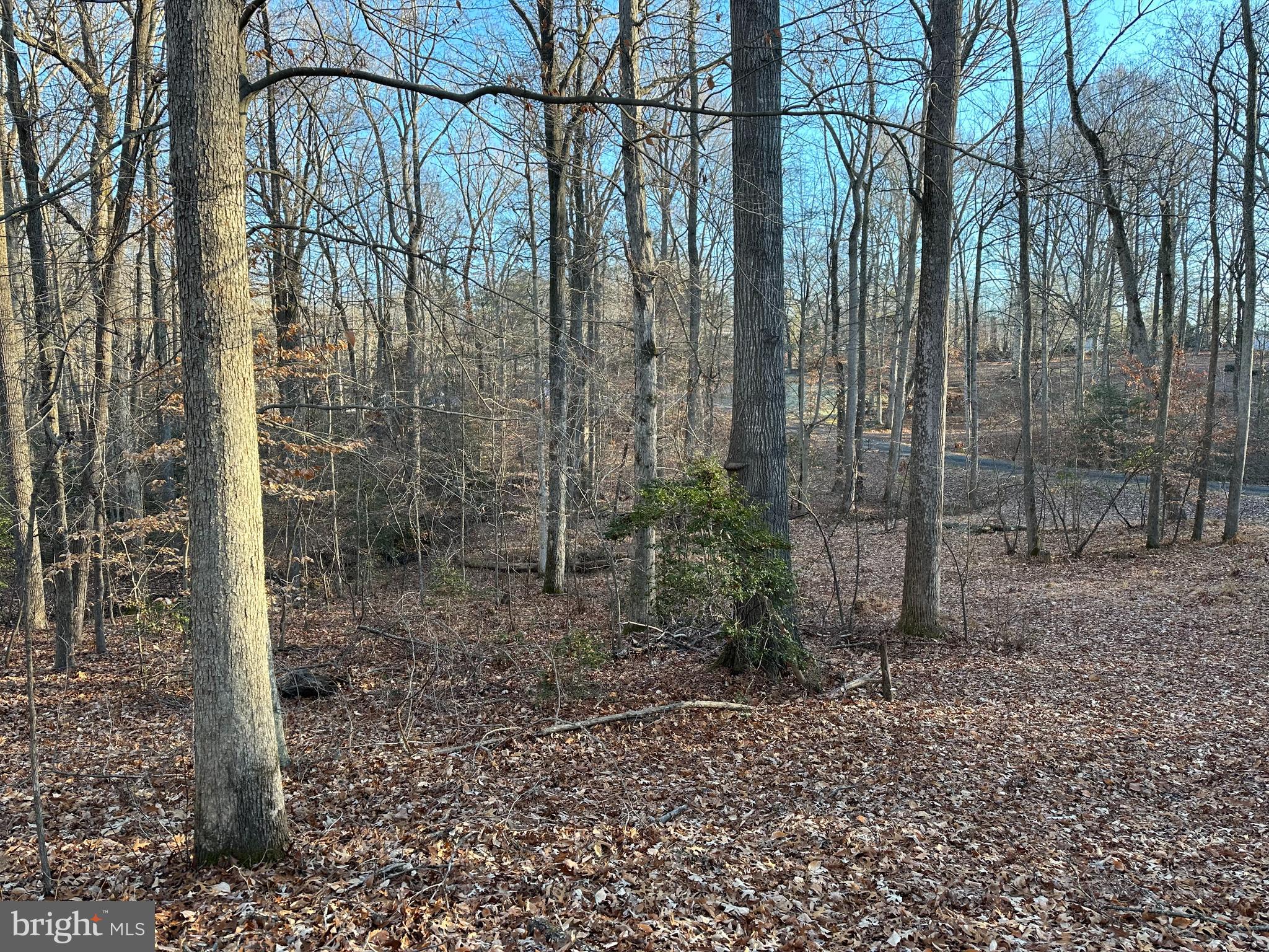 0 St Andrews Church Road Leonardtown, MD 20650 - Photo 20 of 34 a backyard of a house with lots of green space