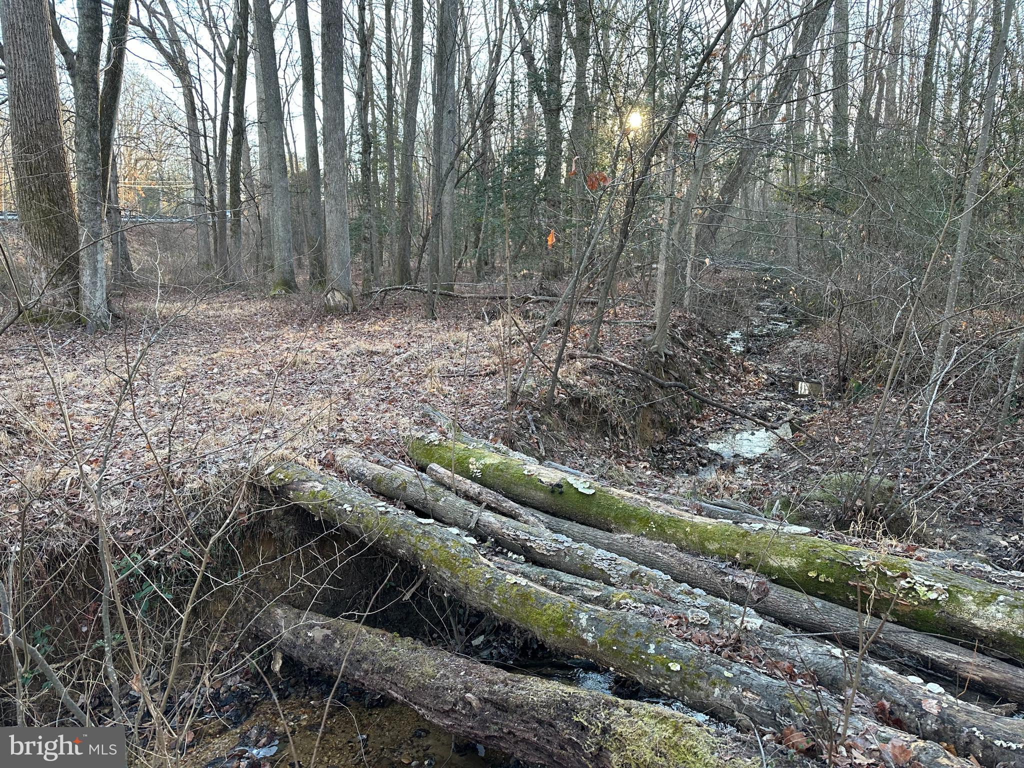 0 St Andrews Church Road Leonardtown, MD 20650 - Photo 21 of 34 a view of a yard with large trees