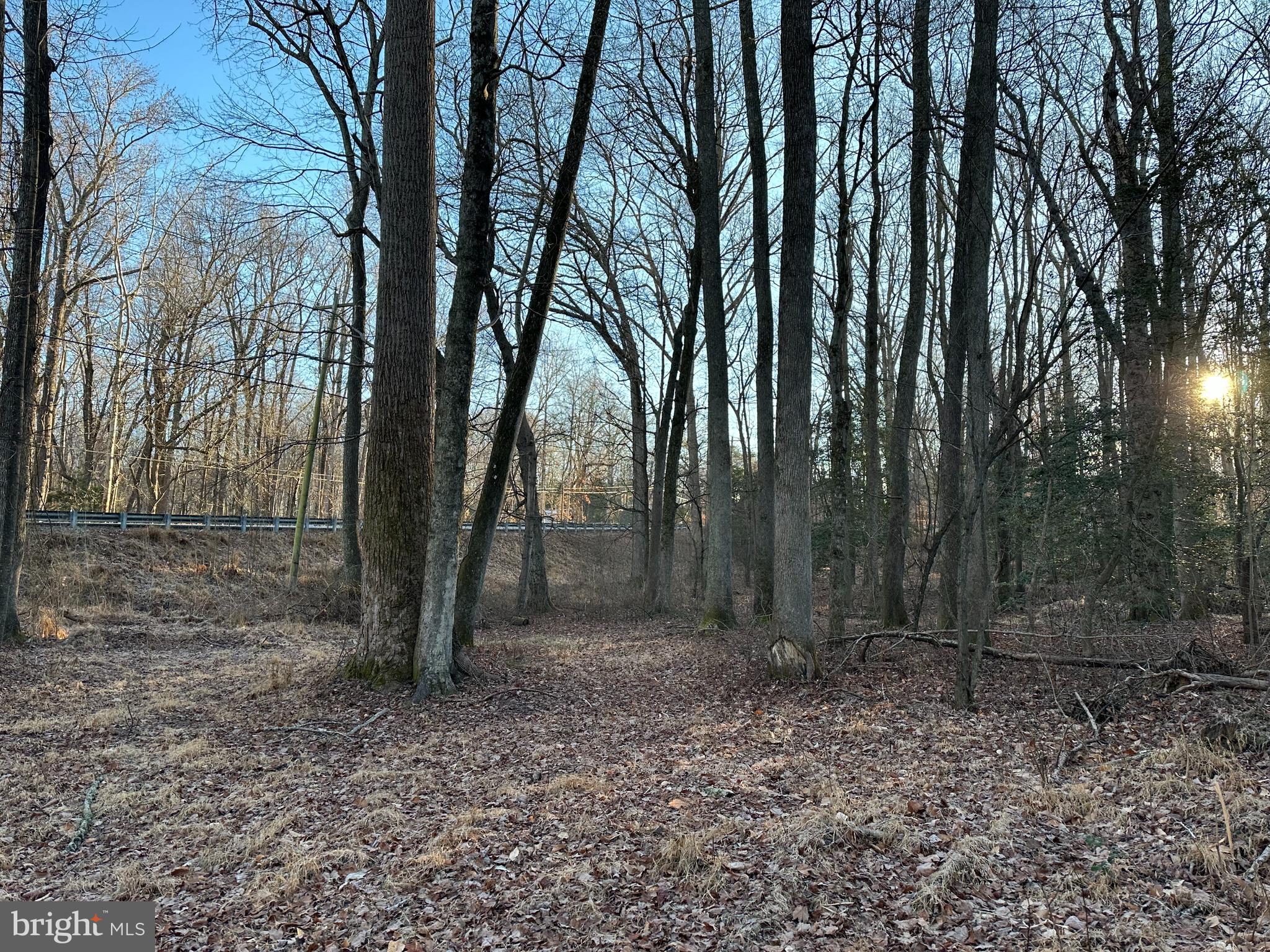 0 St Andrews Church Road Leonardtown, MD 20650 - Photo 22 of 34 a view of a backyard with trees