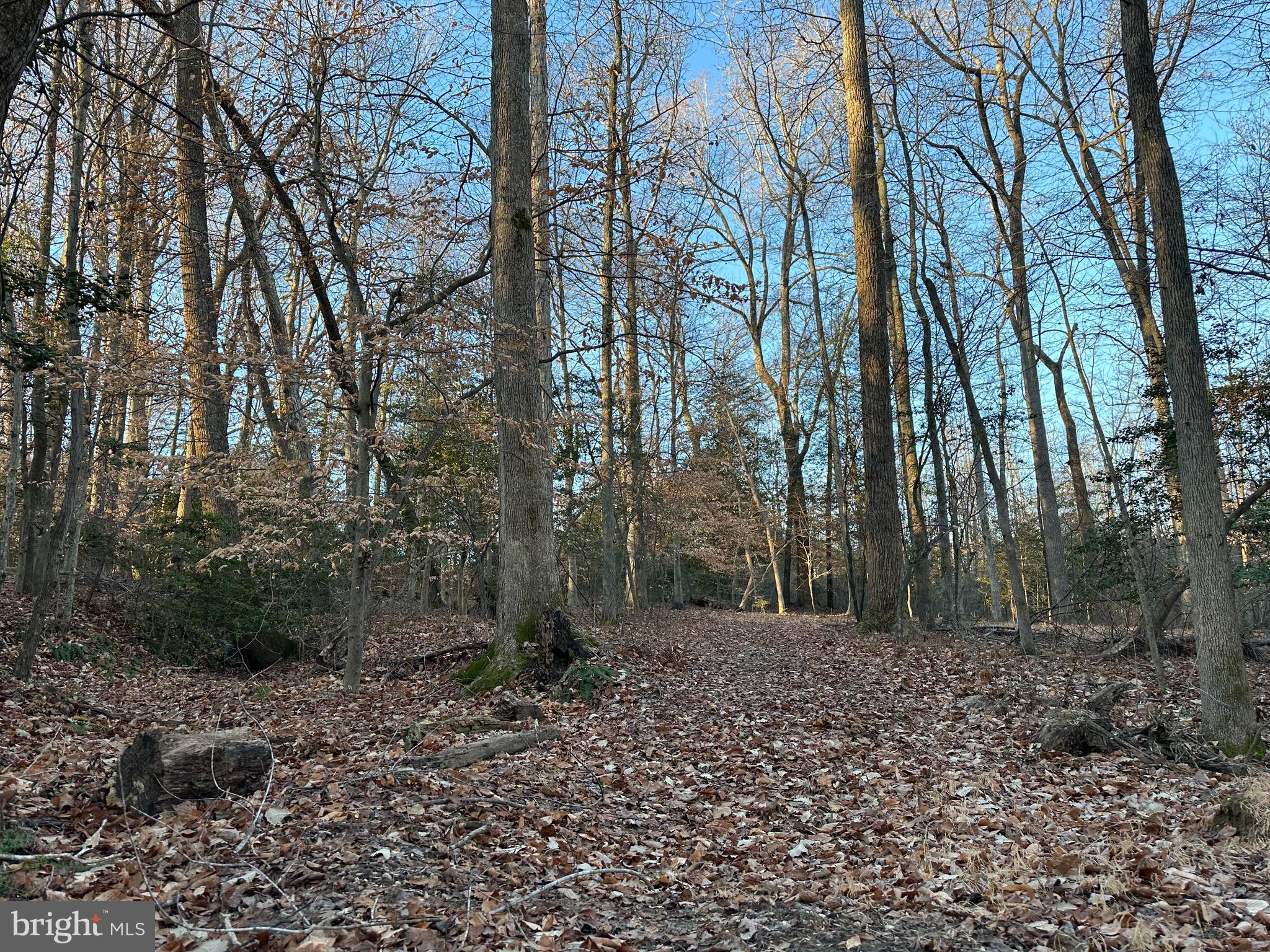 0 St Andrews Church Road Leonardtown, MD 20650 - Photo 27 of 34 a backyard of a house with lots of green space