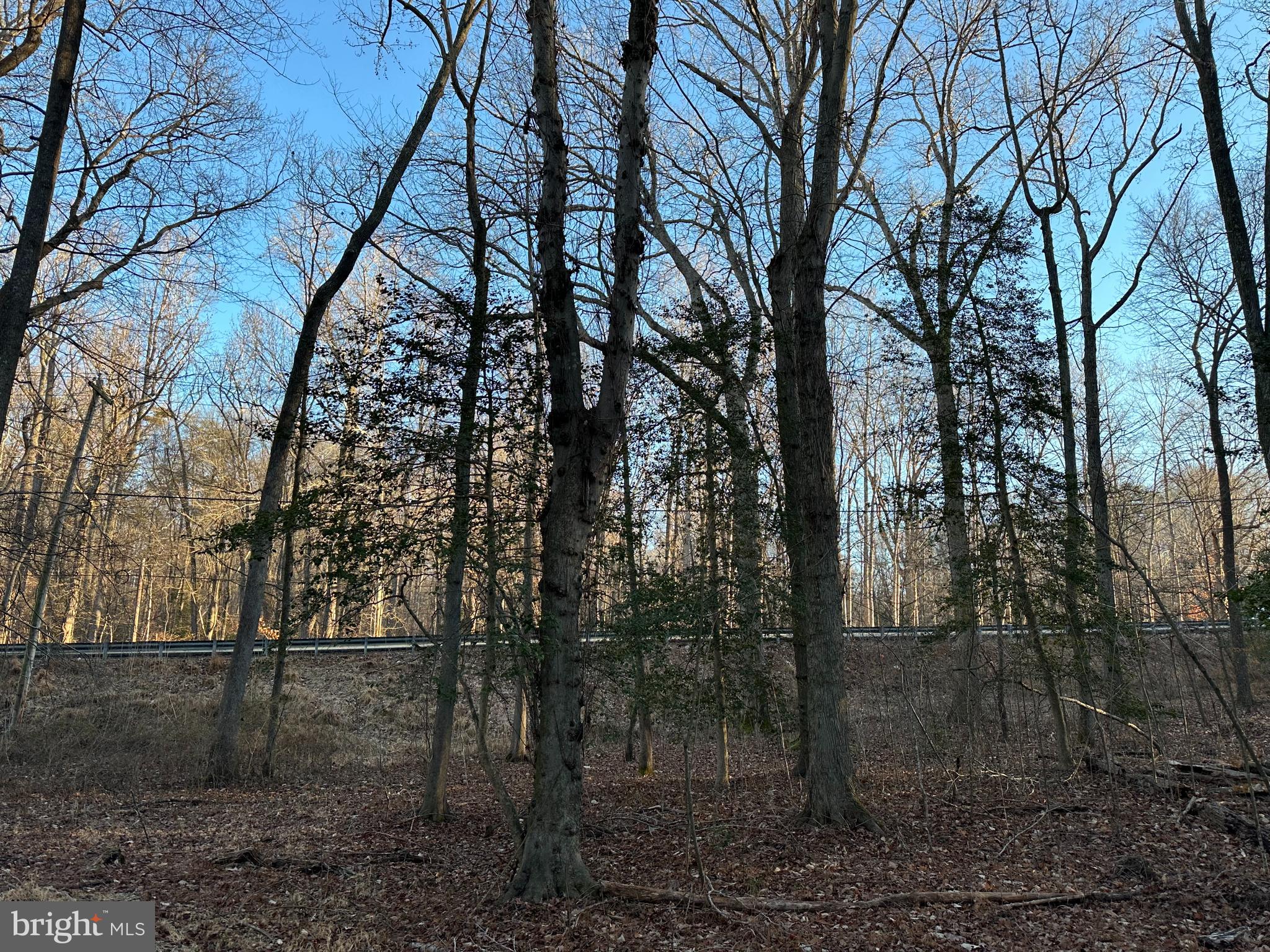 0 St Andrews Church Road Leonardtown, MD 20650 - Photo 31 of 34 a view of outdoor space