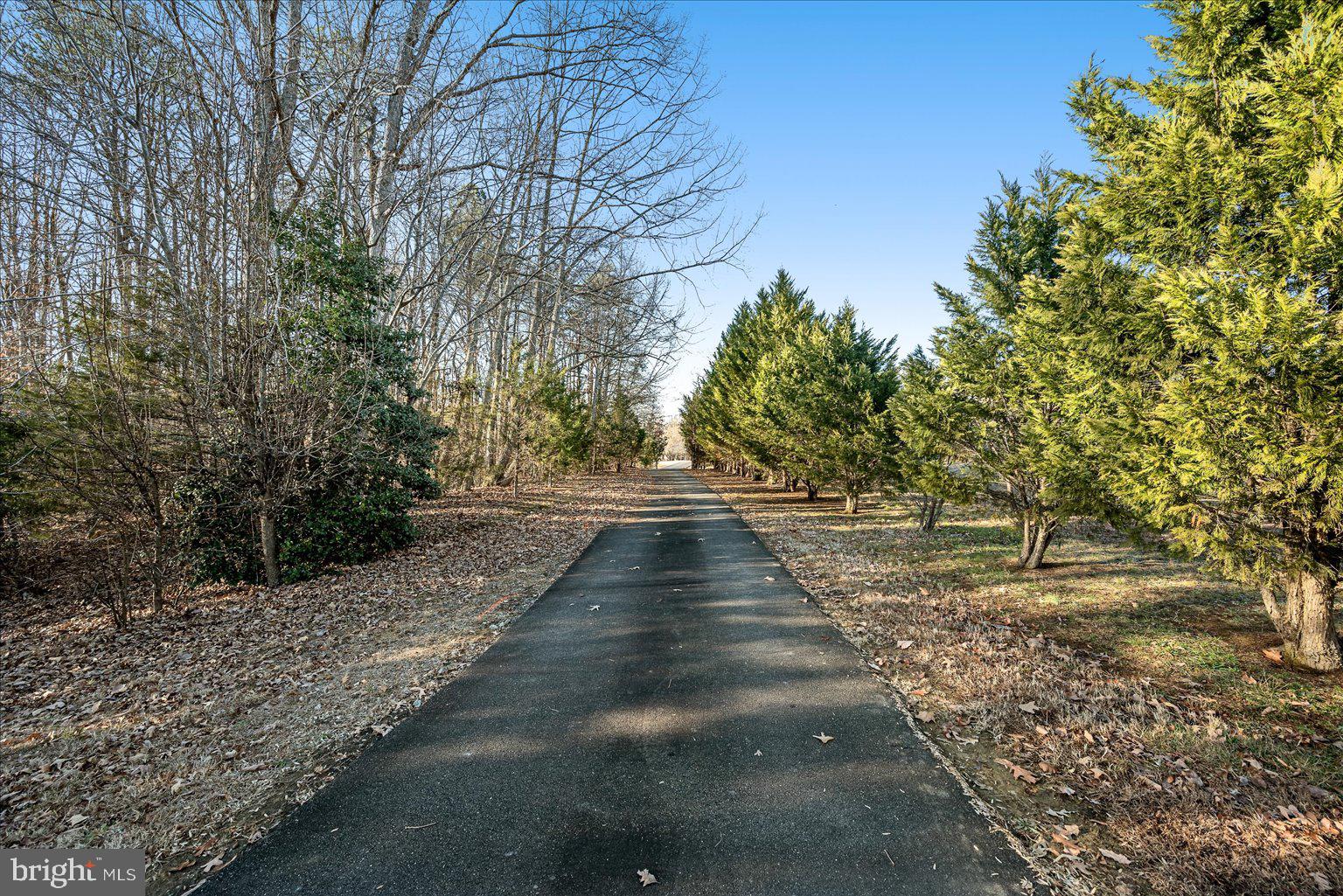 8991 Fletchers Chapel Road King George, VA 22485 - Photo 17 of 20