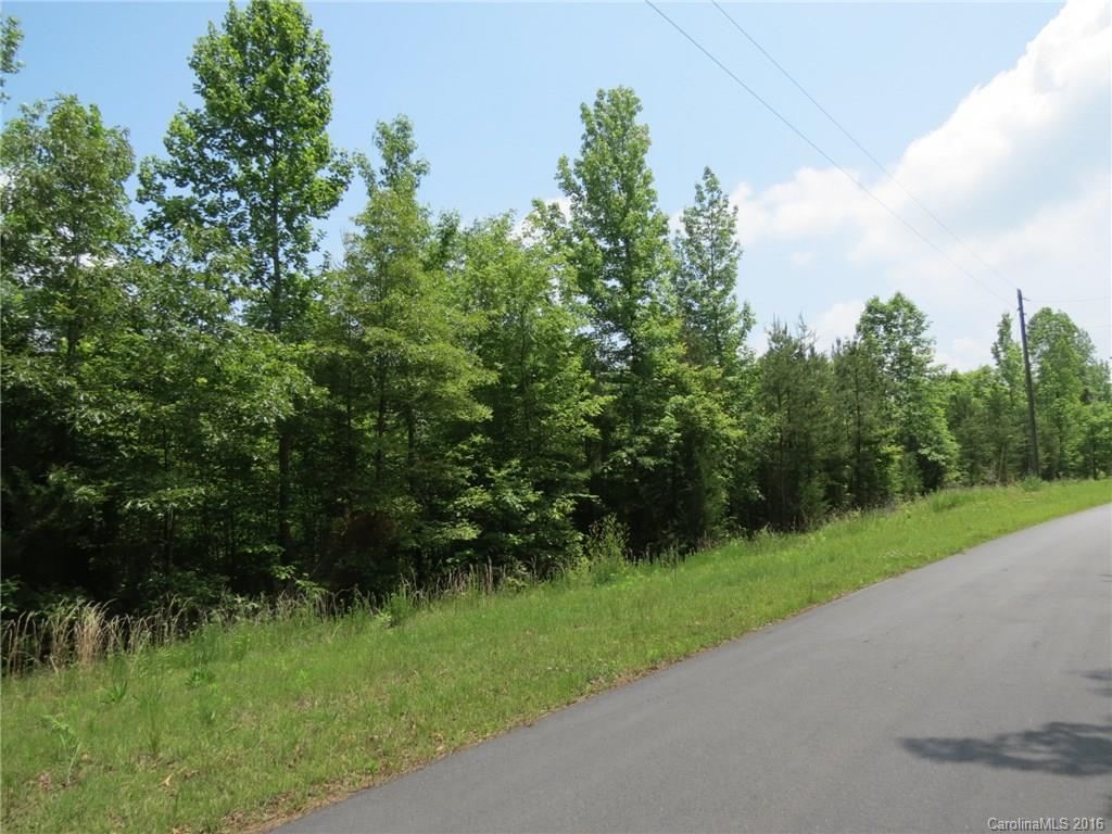 Lot 1 Ranger Road Clover, SC 29710 - Photo 13 of 14 a view of a garden