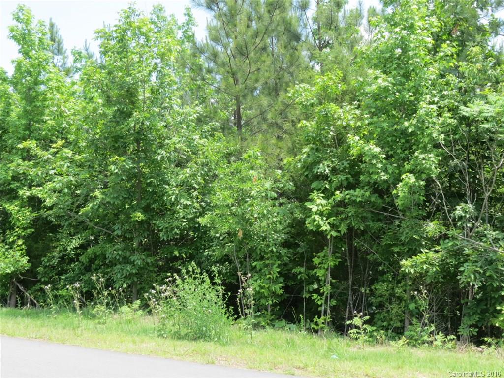 Lot 1 Ranger Road Clover, SC 29710 - Photo 6 of 14 a view of a lush green forest