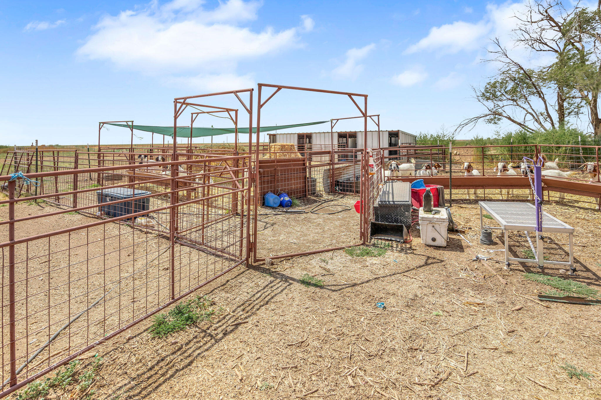 17710 C R 2720 Slaton, TX 79364 - Photo 53 of 56 B66A3602